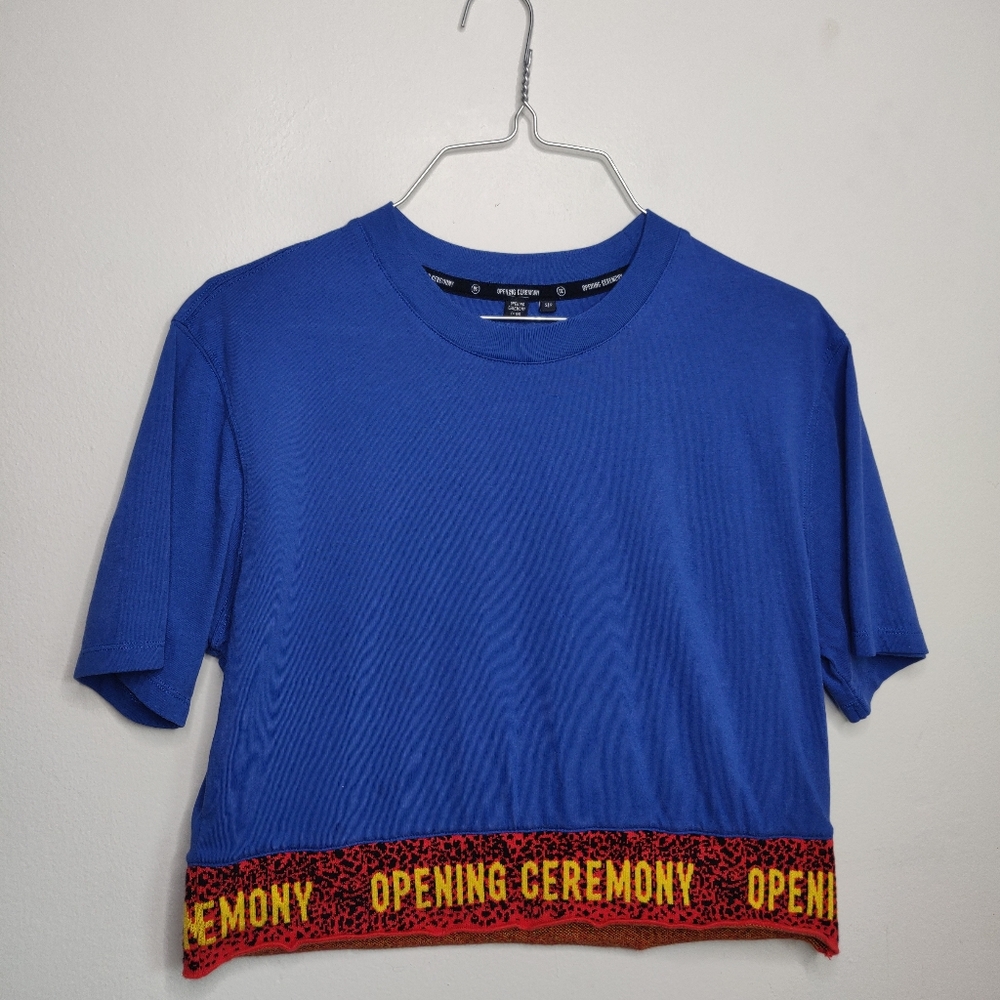Opening Ceremony Crop top